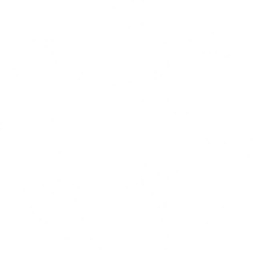 cropped-white-logo.png